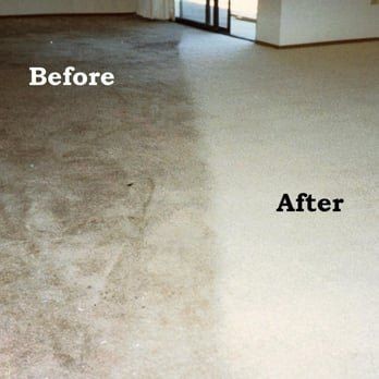 Before & After Carpet Cleaning in Saint Augustine, FL (1)